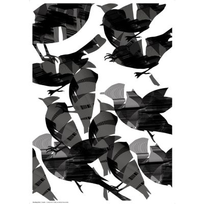 Poster Blending Birds